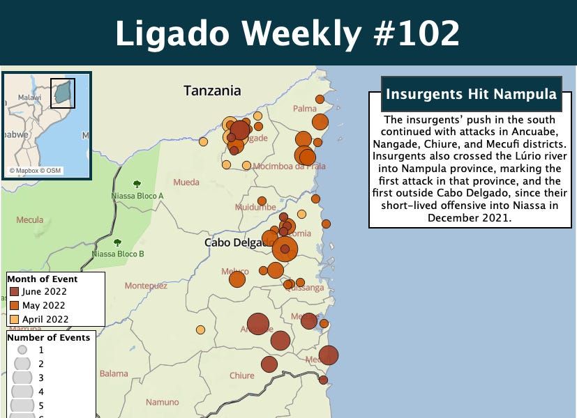Mozambique looks to methanol to use domestic gas allocation; Quelimane mayor ready to run for Renamo leadership