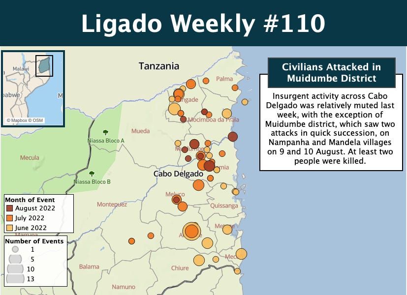 Nyusi insists LNG projects must restart, as conflict in Cabo Delgado continues