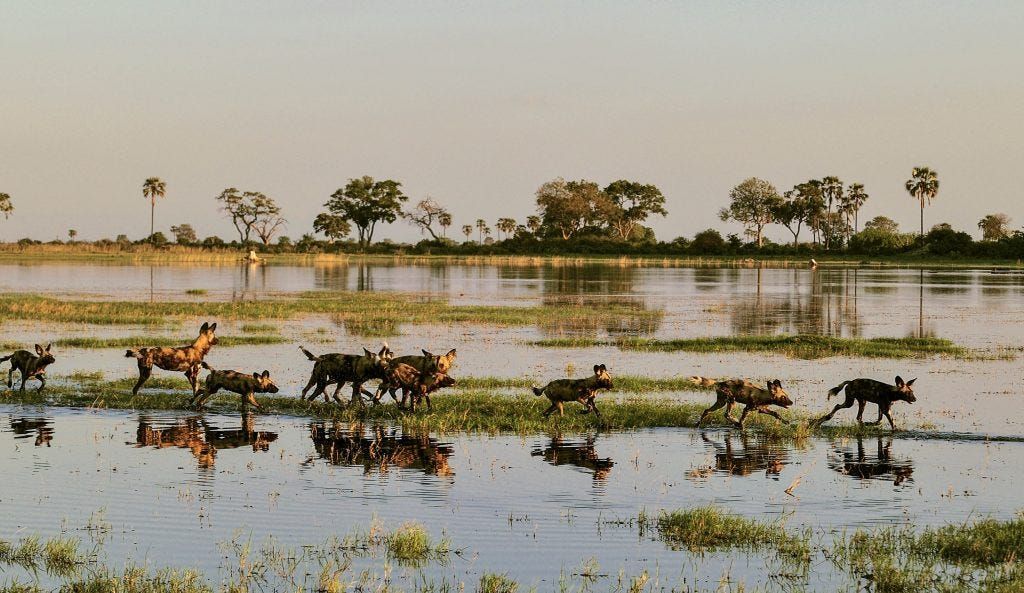 Joint force for Cabo Delgado mooted by CPLP; More villages attacked in Mozambique’s far north