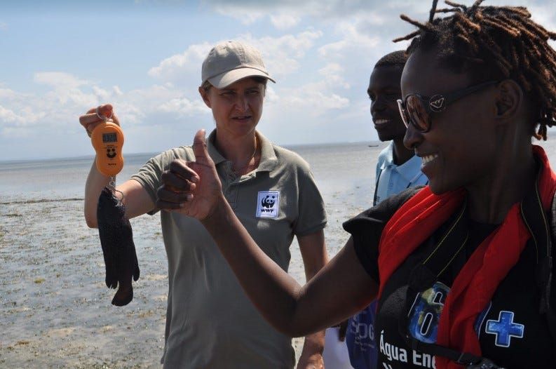 WWF conservationist murdered in Maputo; Son of Mozambican tycoon kidnapped in South Africa