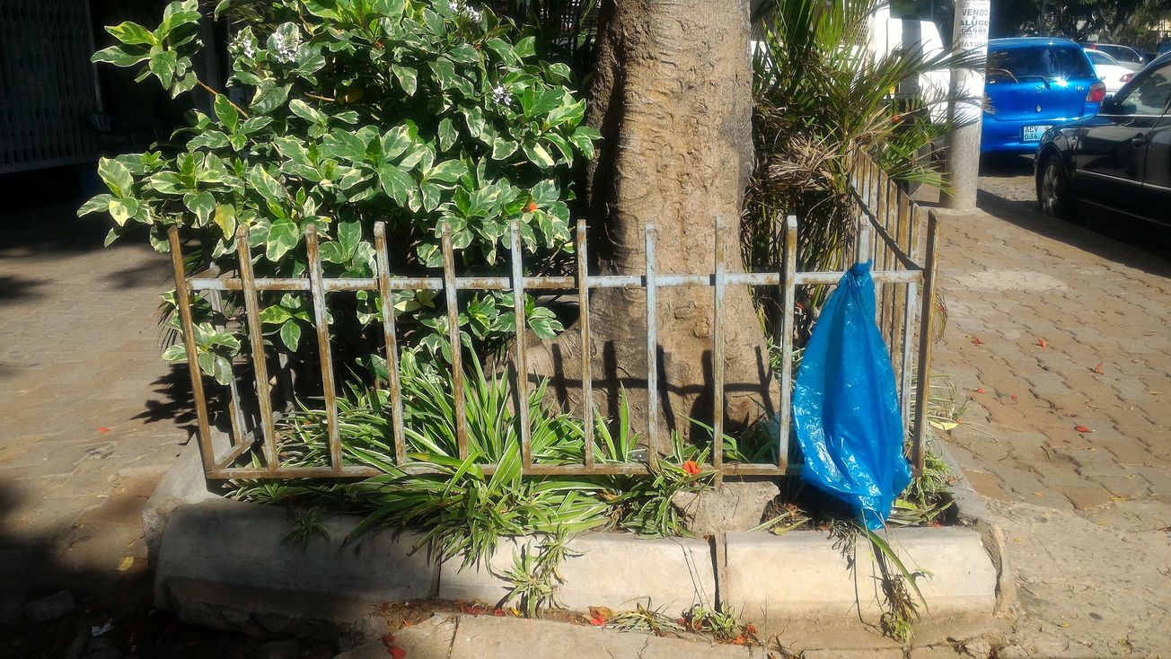 Mozambique plastic bag ban comes into force next Friday
