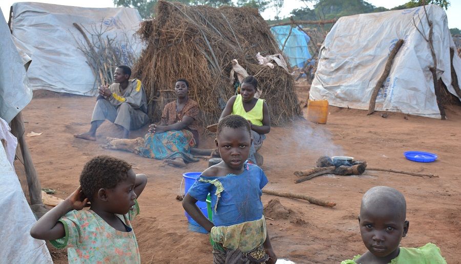 Zitamar Daily Round-Up, 6 July 2017