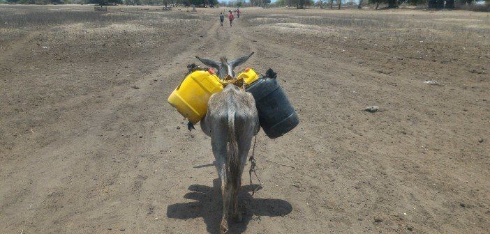 More food aid to reach drought-hit Mozambicans, but funding gap remains