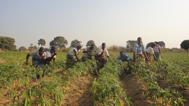 Climate experts forecast rain for drought-hit southern Africa