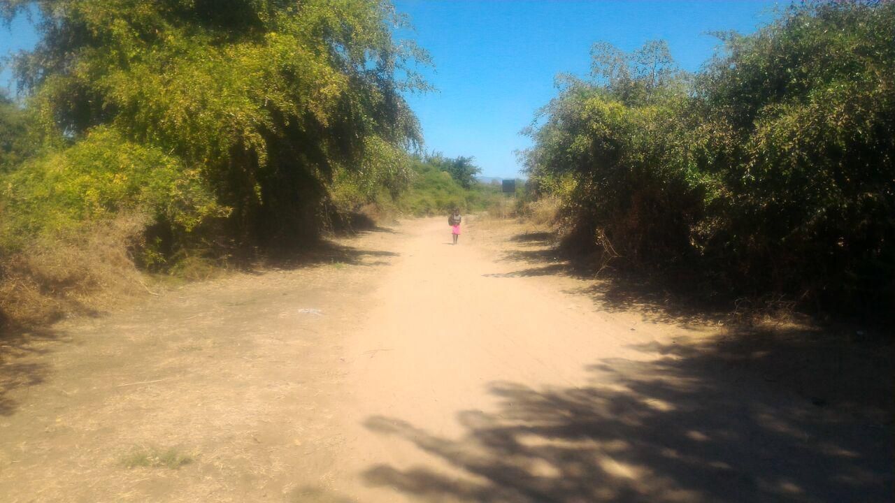 Zimbabweans fear cross-border spillovers from Mozambique conflict