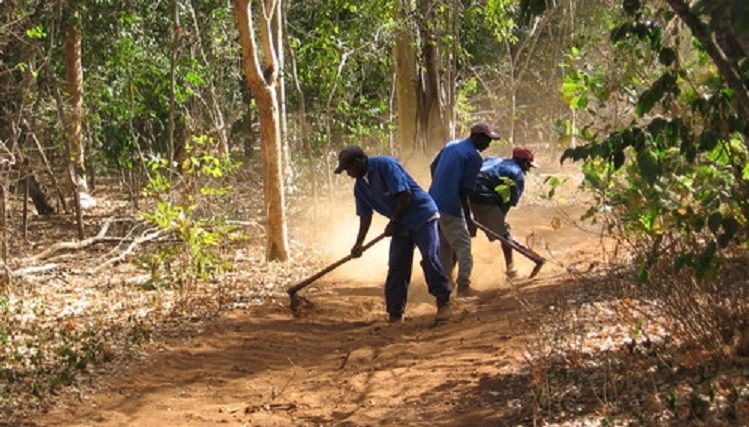 Premier African Minerals closes Mozambique limestone prospect deal