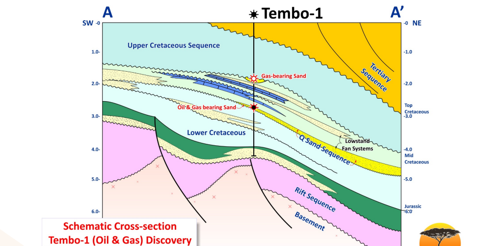 Canadian oil and gas company tenders for Mozambique seismic survey