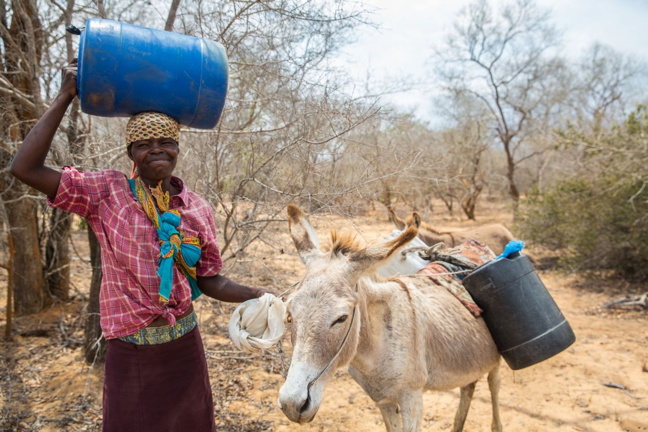 Food crisis looms again for southern Mozambique