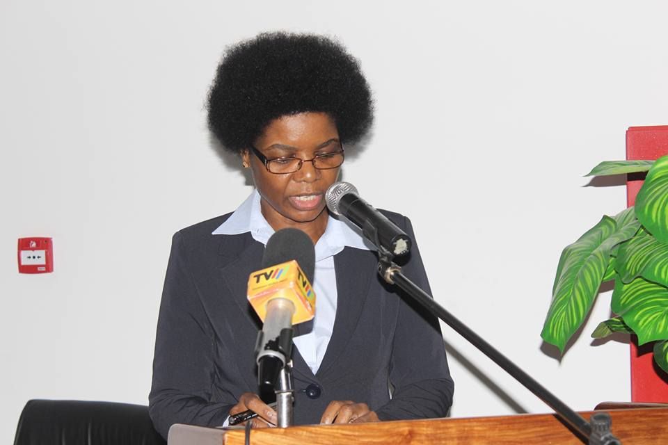 Eni-Exxon CGT bill ‘not automatic,’ says Mozambique tax authority