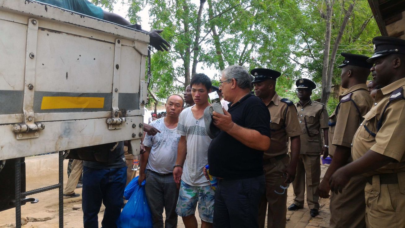 Chinese-Mozambican enterprise found guilty of illegal logging in Malawi