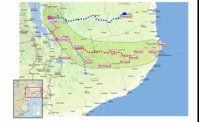 Controversial ‘Prosavana’ agri project no closer to moving forward