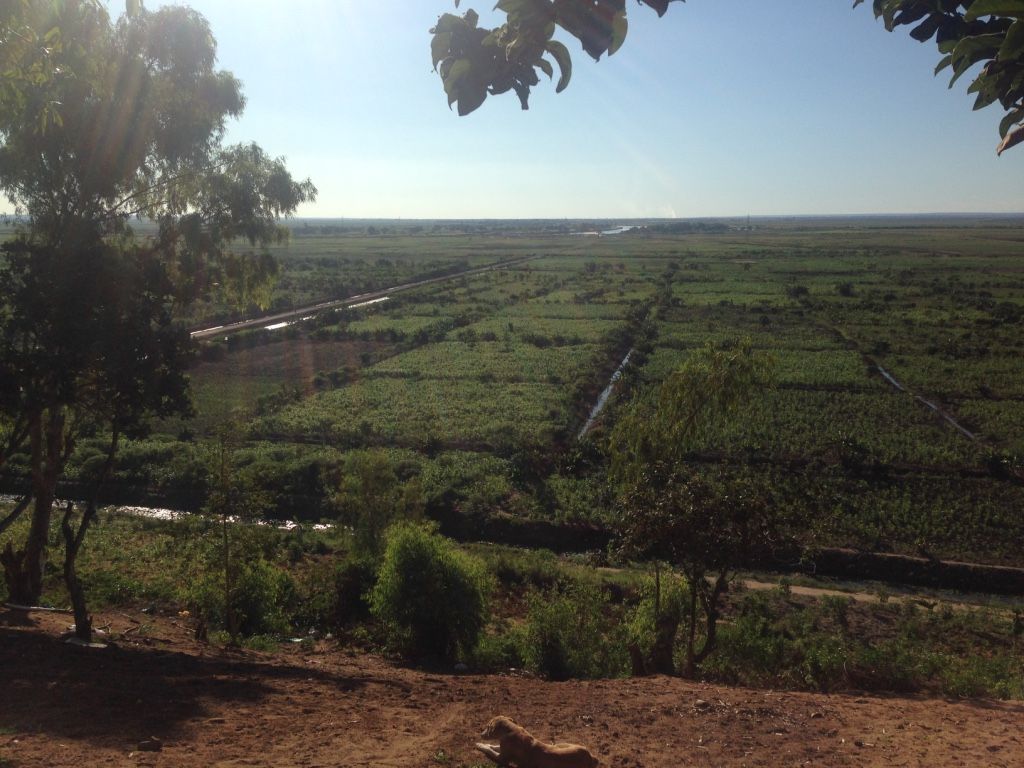 Mozambique seeks private investor to revive Chokwe Agro-Industrial Complex