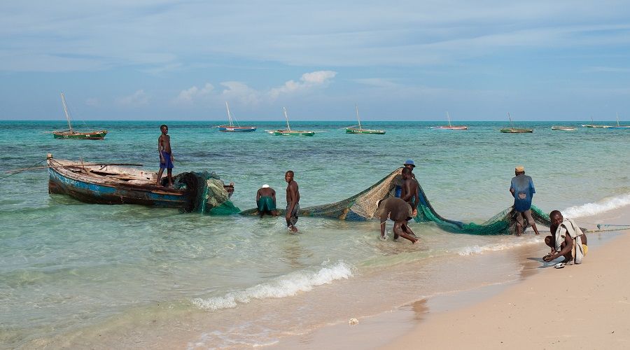 Faulty data mask decline in Mozambique’s fish stocks, researchers say