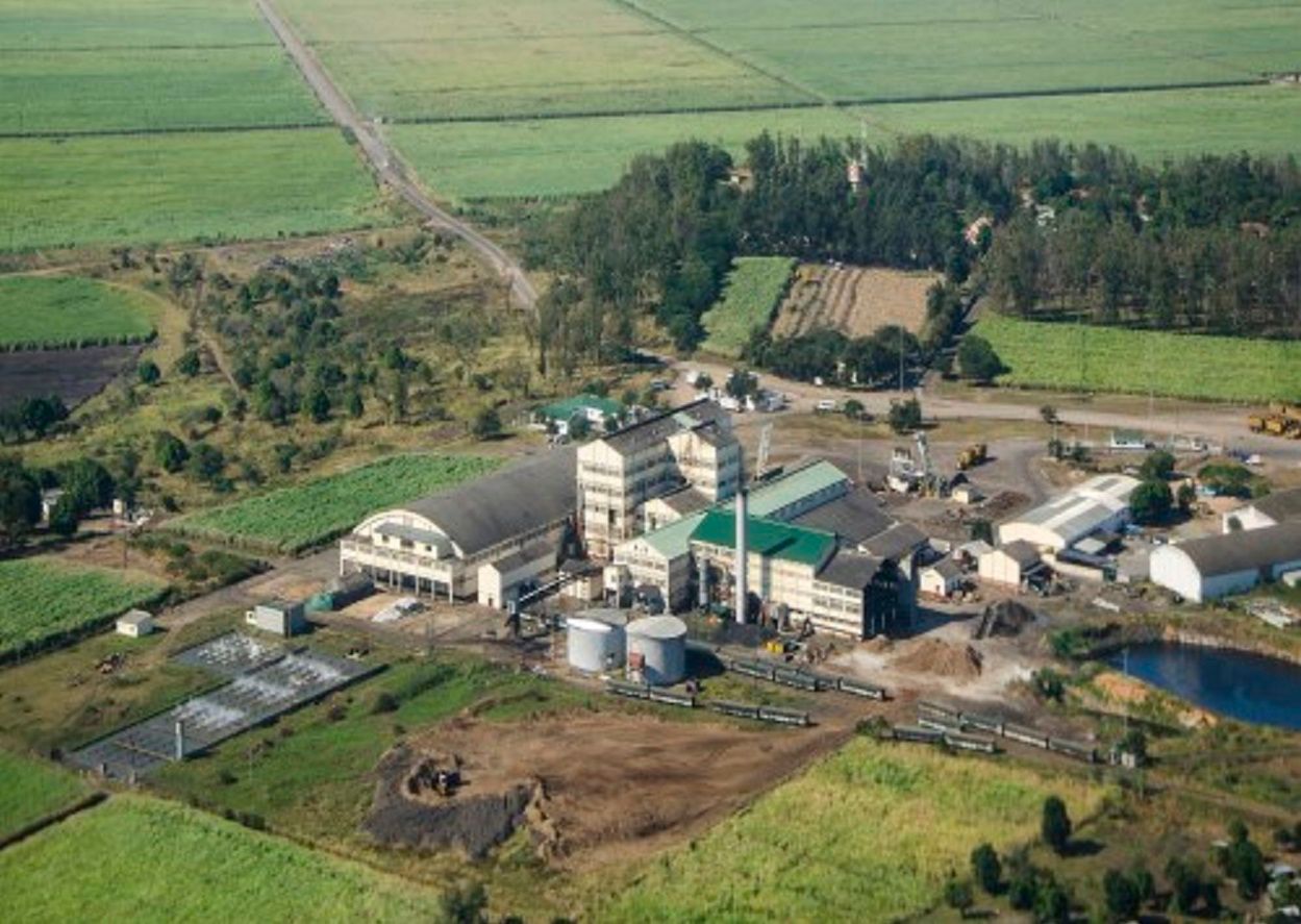 EU sugar reforms signal tough times ahead for Mozambique producers