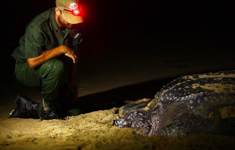 Mozambique environmentalists warn of ‘horrific’ effects of Botswana-backed port project