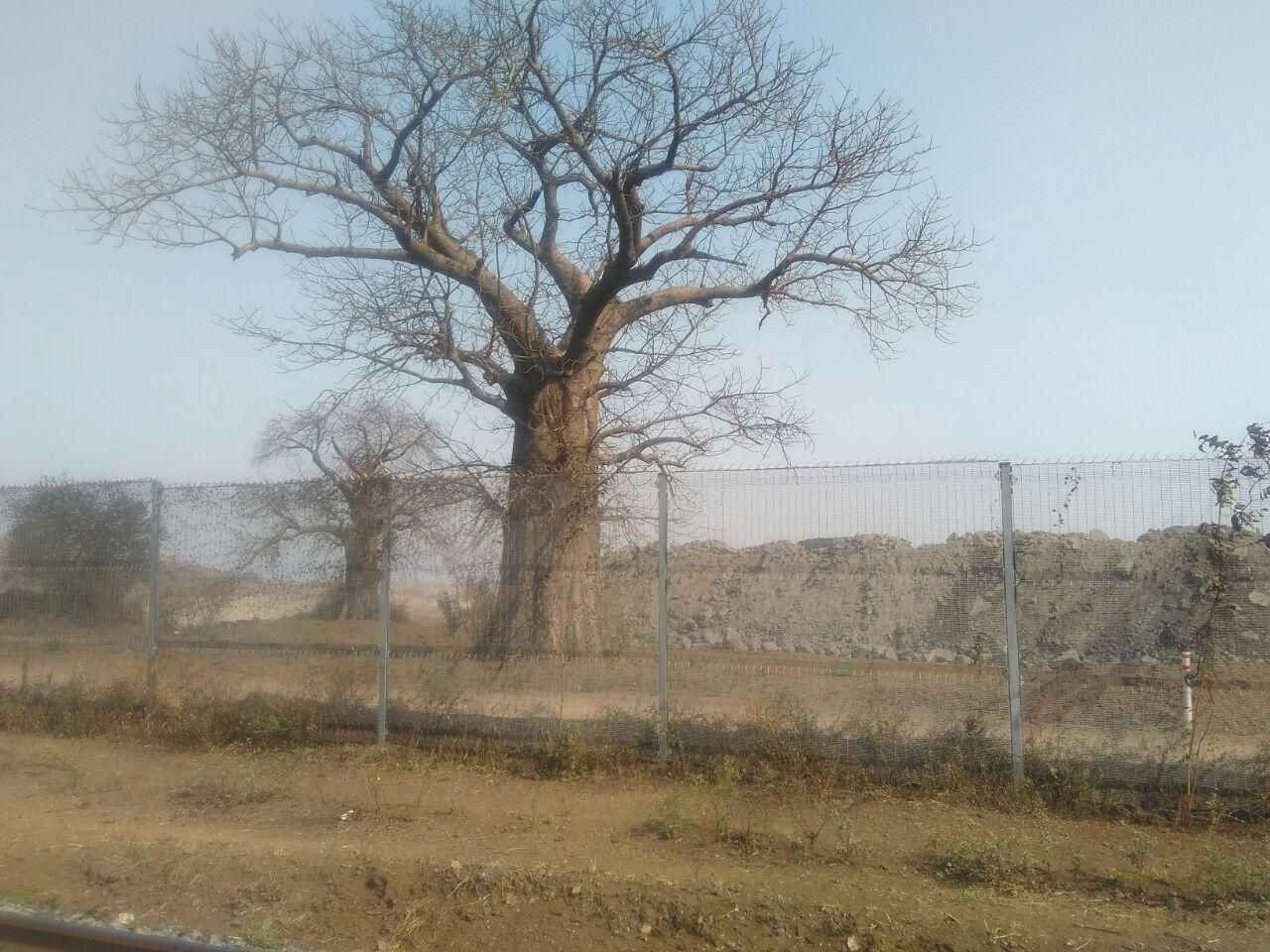 Moatize community demands compensation over cemetery that is now a coal mine