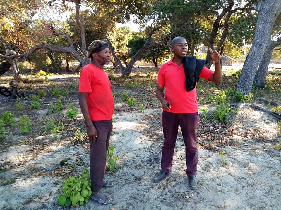 Nyusi supporters call for ‘extrajudicial’ measures to silence Cabo Delgado journalists