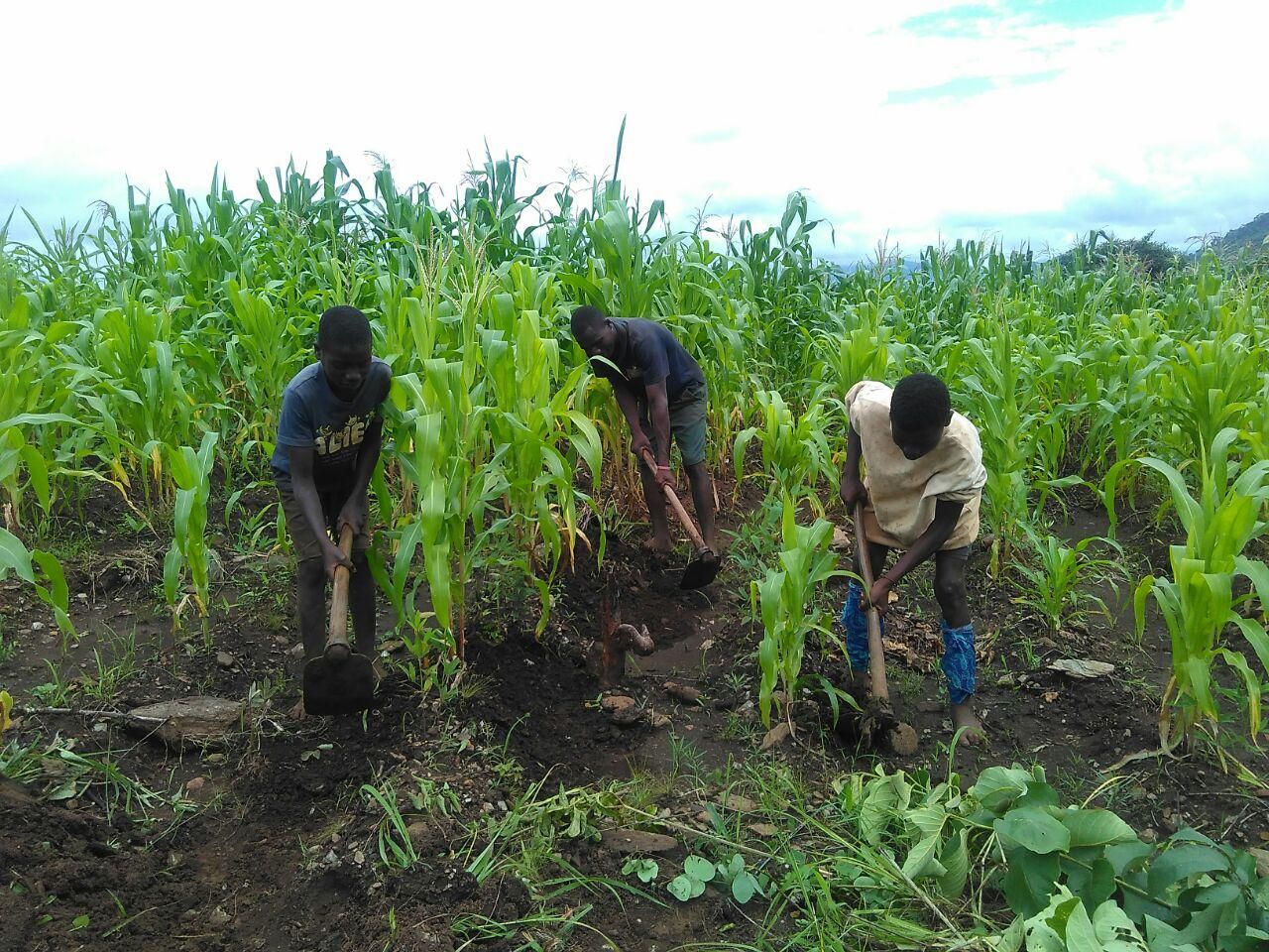 Returned refugees say they live in peace with Renamo, despite claims to contrary