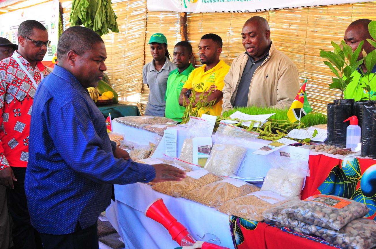 Nyusi declares agriculture ‘national emergency’ in second term commitments