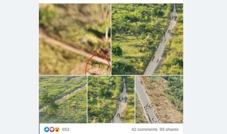 Mozambique forces ‘take insurgent base’ in Quissanga — social media reports