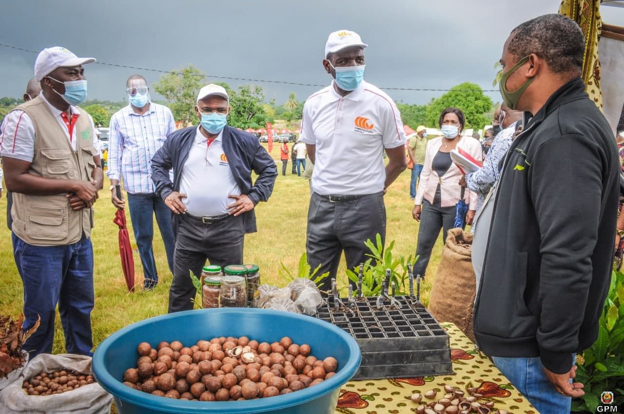 Use of false data crippled agricultural production in Mozambique, experts say