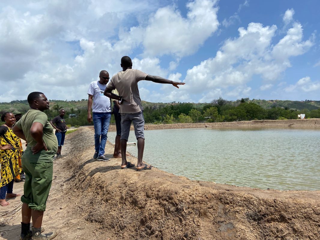 Mozambique launches plans for Africa’s largest mangrove reforestation project