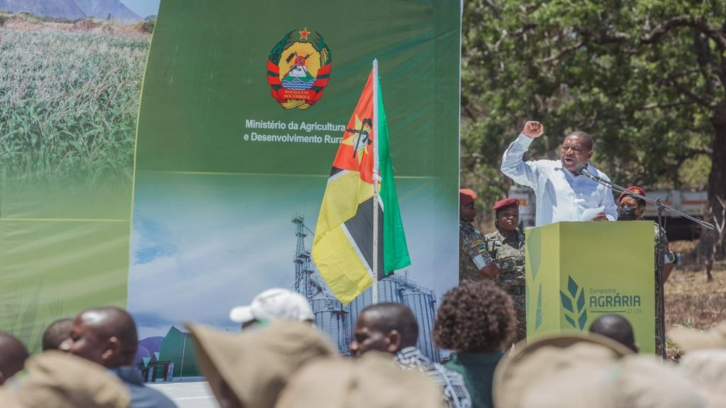 Bumper harvest narrows Mozambique's agricultural trade gap