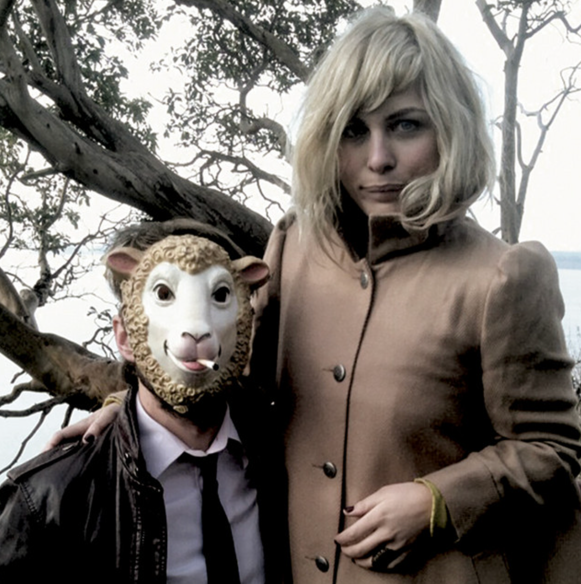 The Head and the Heart