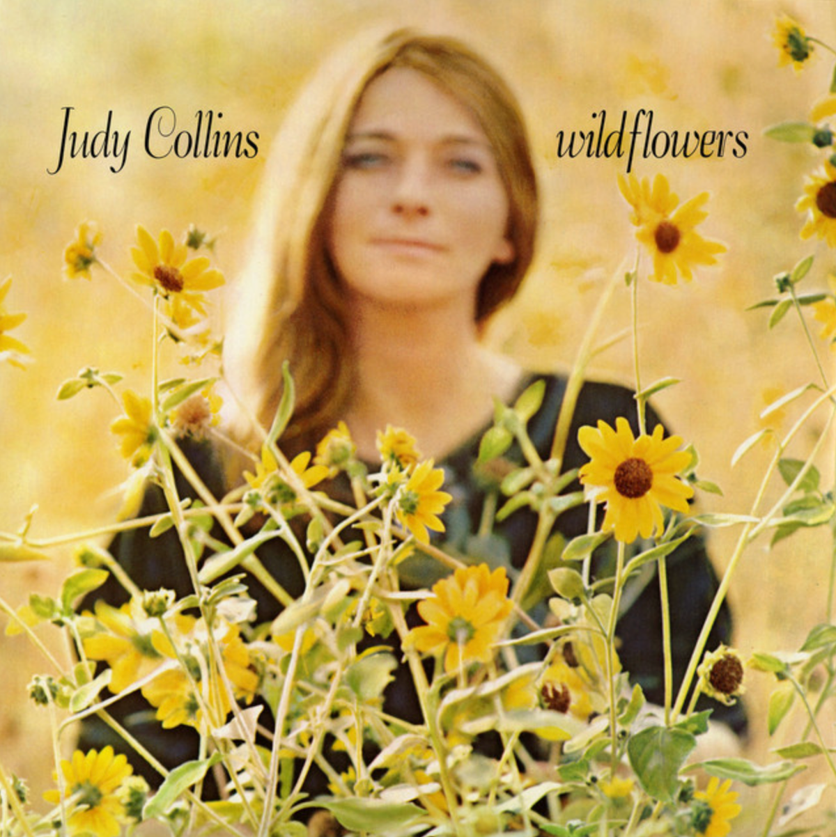 Wildflowers