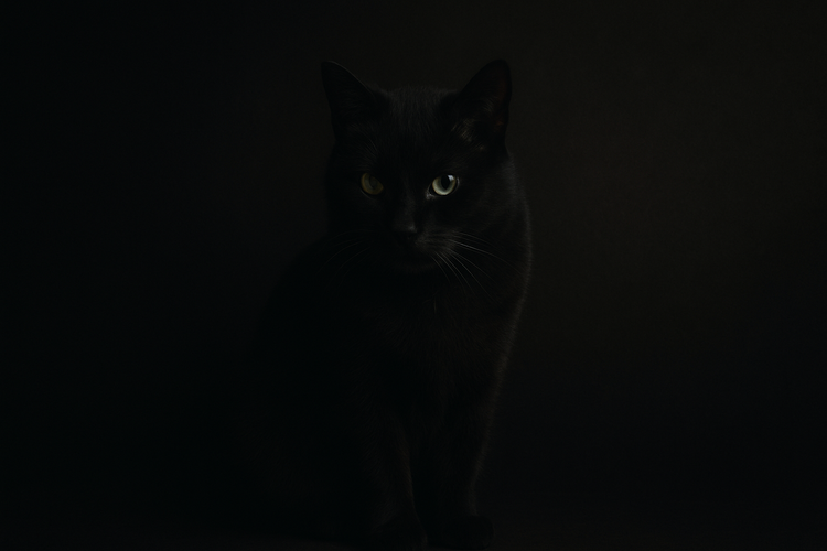 The Day I Stopped Lowering the Bar for Anyone