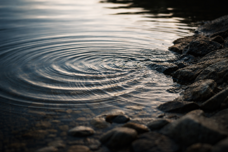 When Organisations Slow Down, It Is Rarely an Engineering Problem