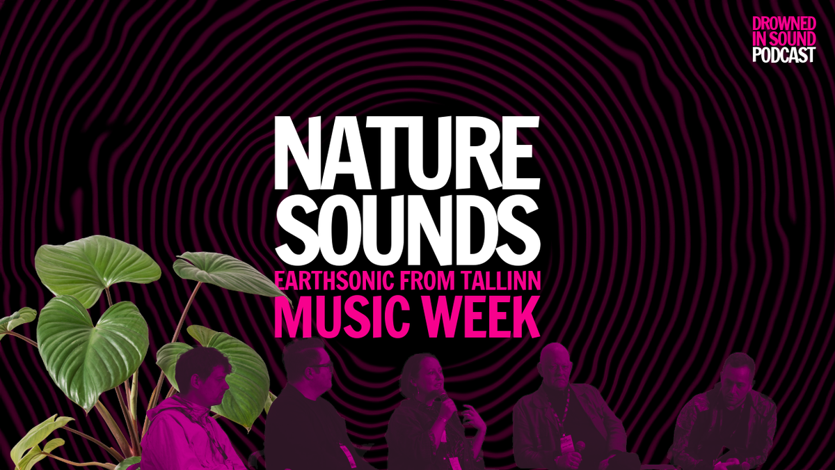 The Earth Is Singing. Are We Finally Listening?