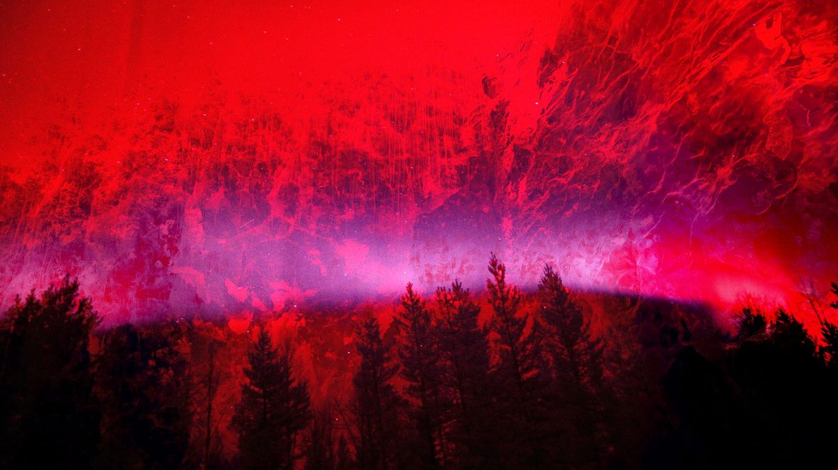 Inside Bicep's Arctic Masterpiece