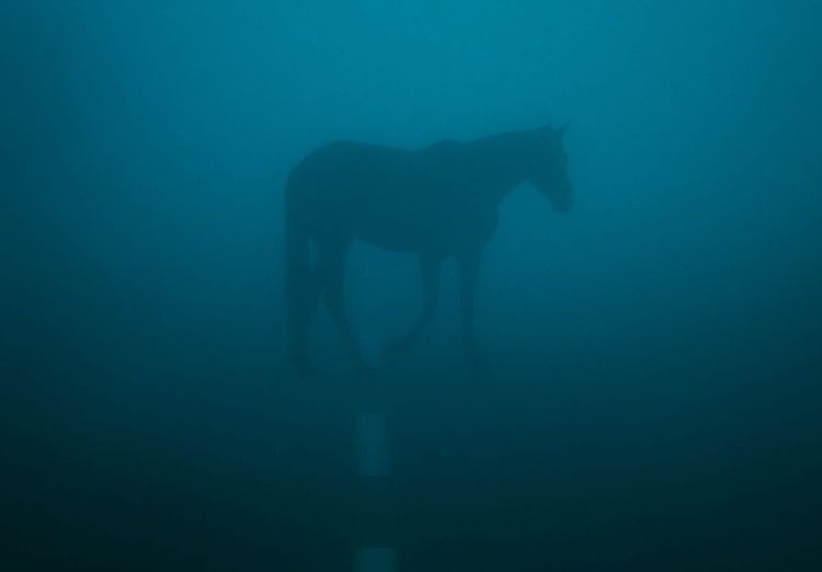 L'AI mente non sapendo di mentire: come evitare le allucinazioni