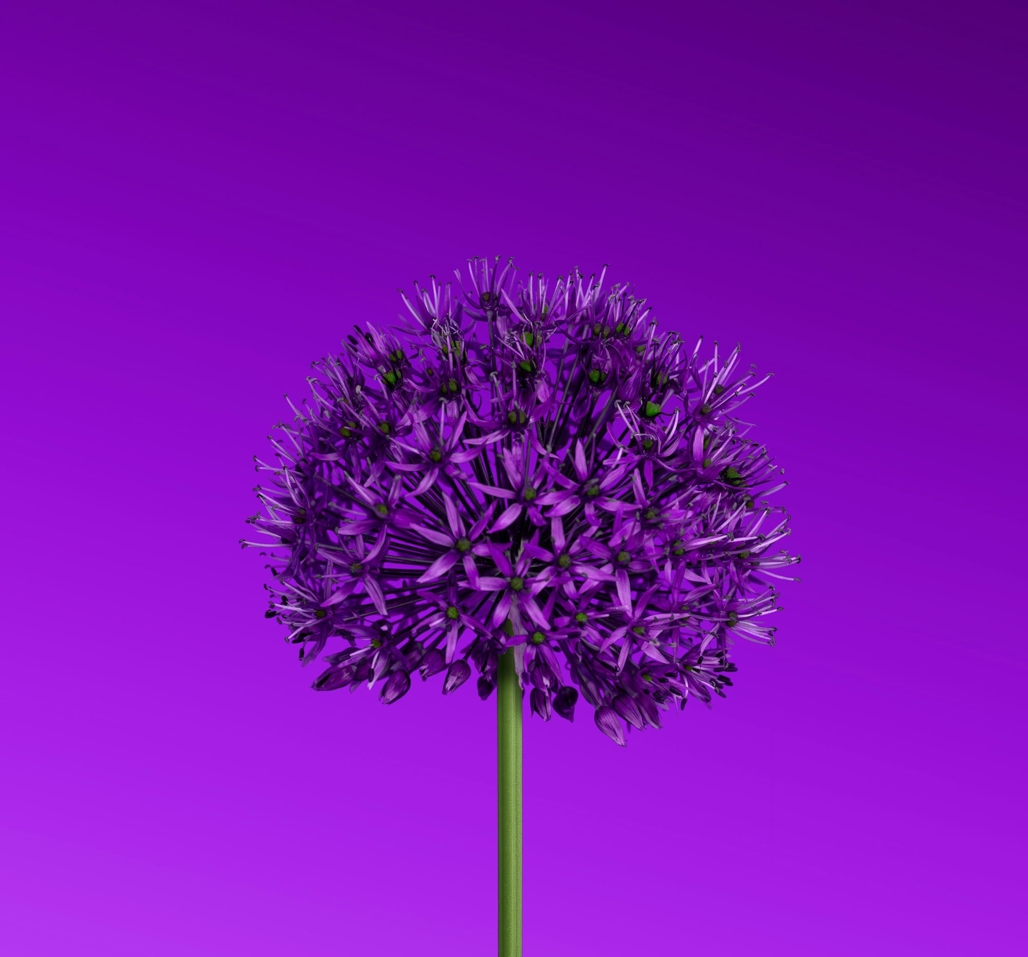 Why We Need a Value-Based Approach More Than Ever