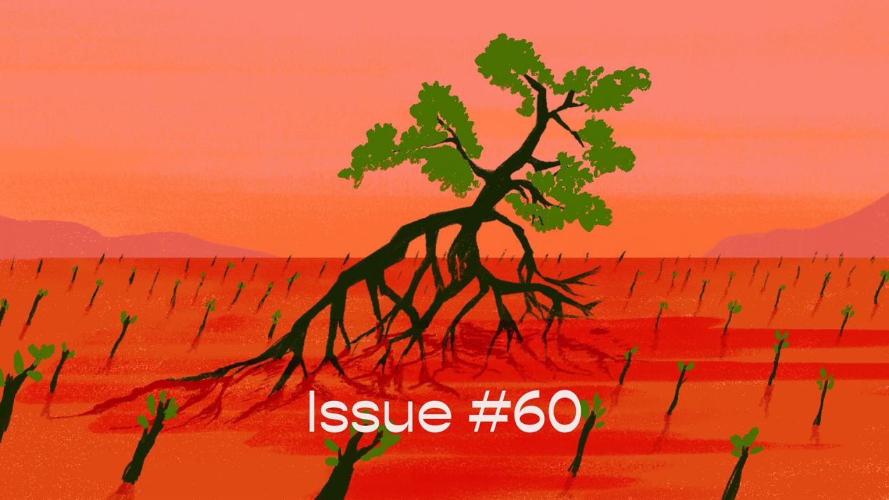 My grandma does decolonial work — issue #60