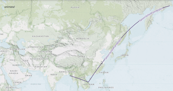 Thoughts on Making the Migratory Bird Map