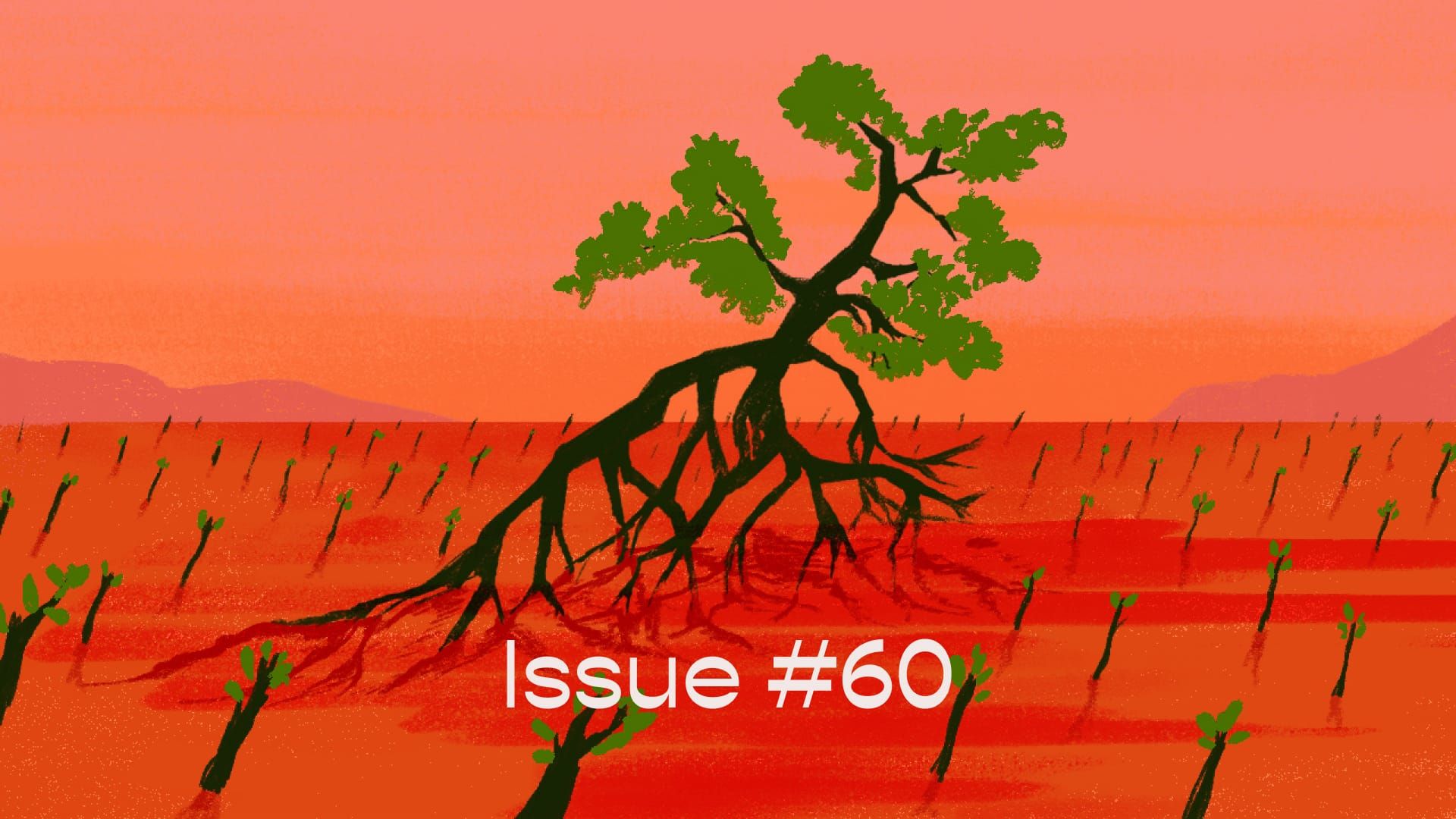 My grandma does decolonial work — issue #60