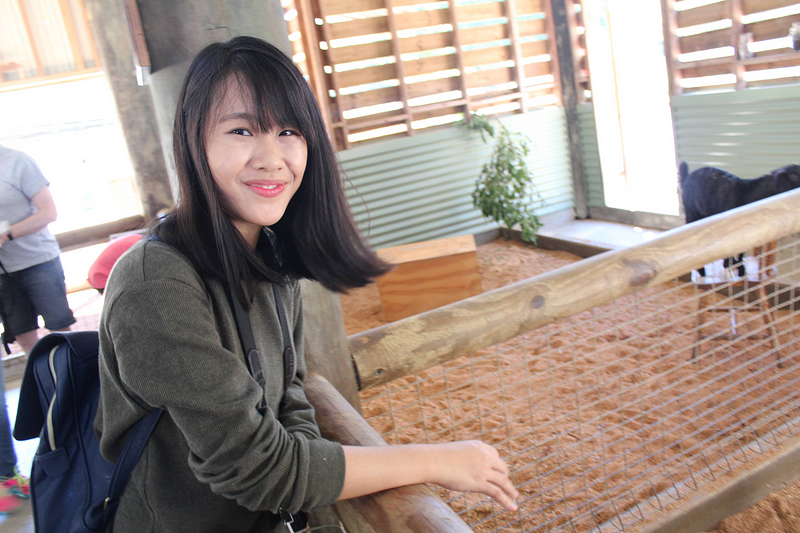 Humans of Kontinentalist: Amanda Teo (again!)