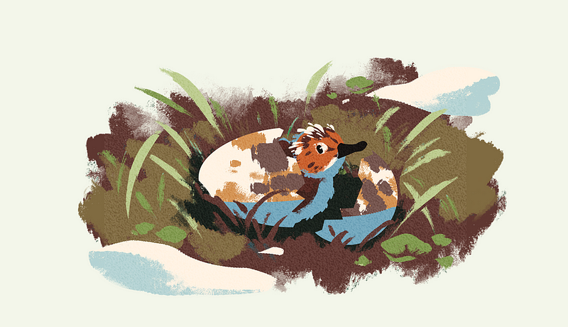 Our favourite projects of 2020