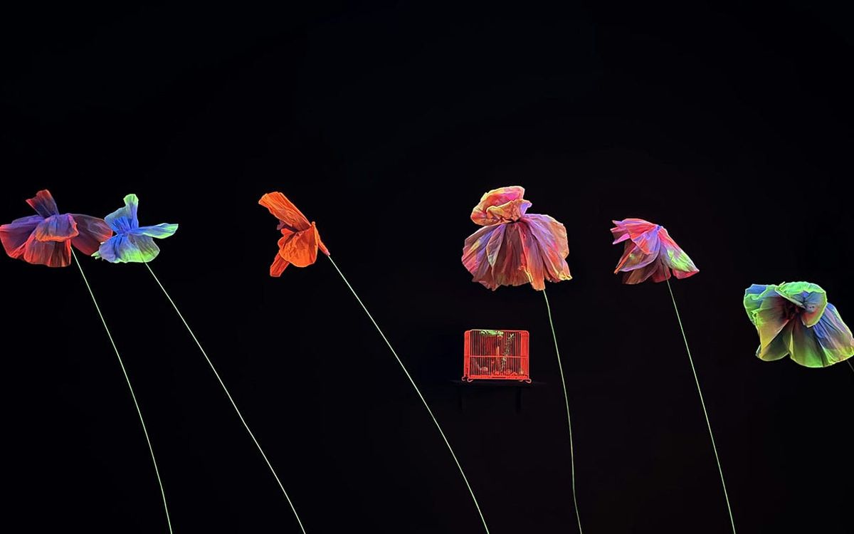 The House of Echoes and the Two Paths