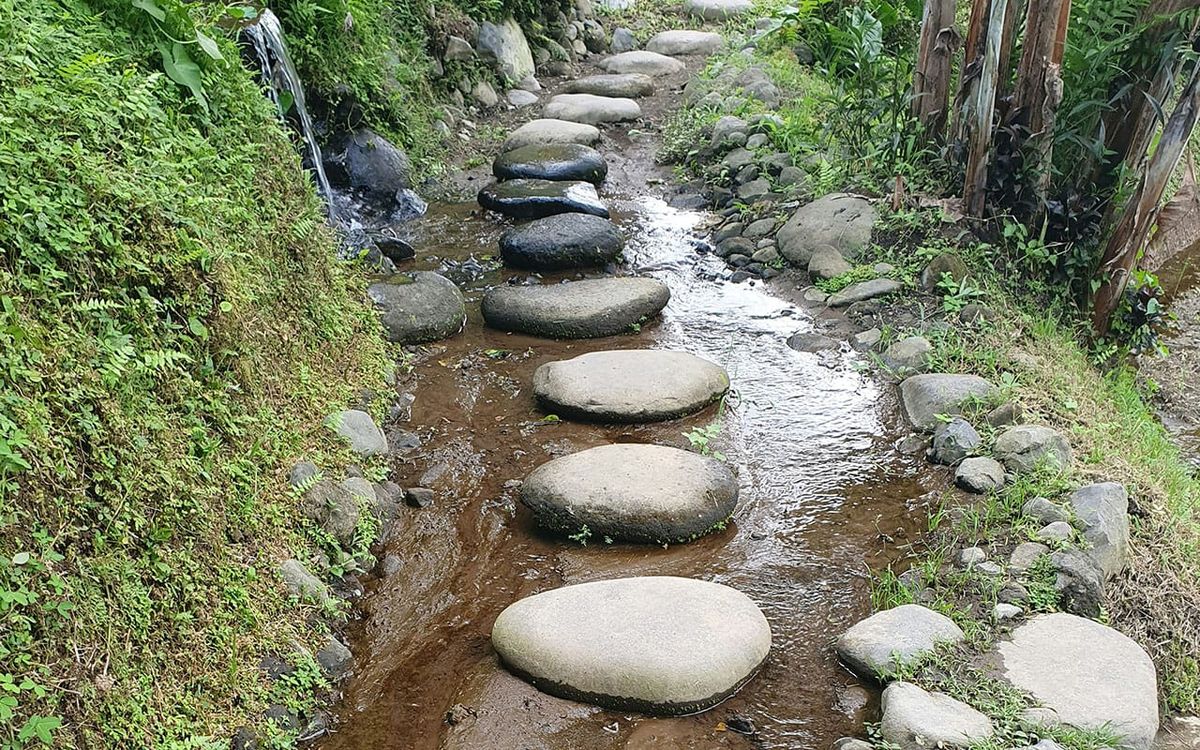 The Middle Path — A Measured Approach to Awakening