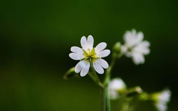 My Journey Toward the Truth