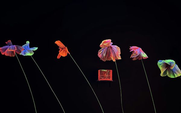 The House of Echoes and the Two Paths