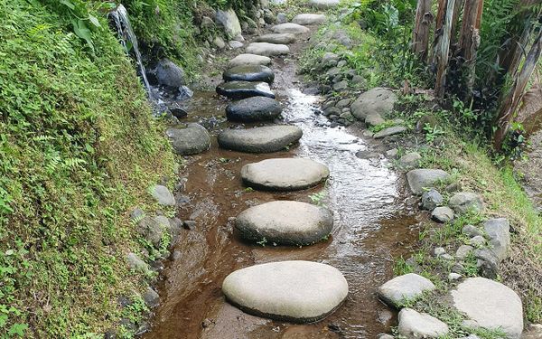 The Middle Path — A Measured Approach to Awakening