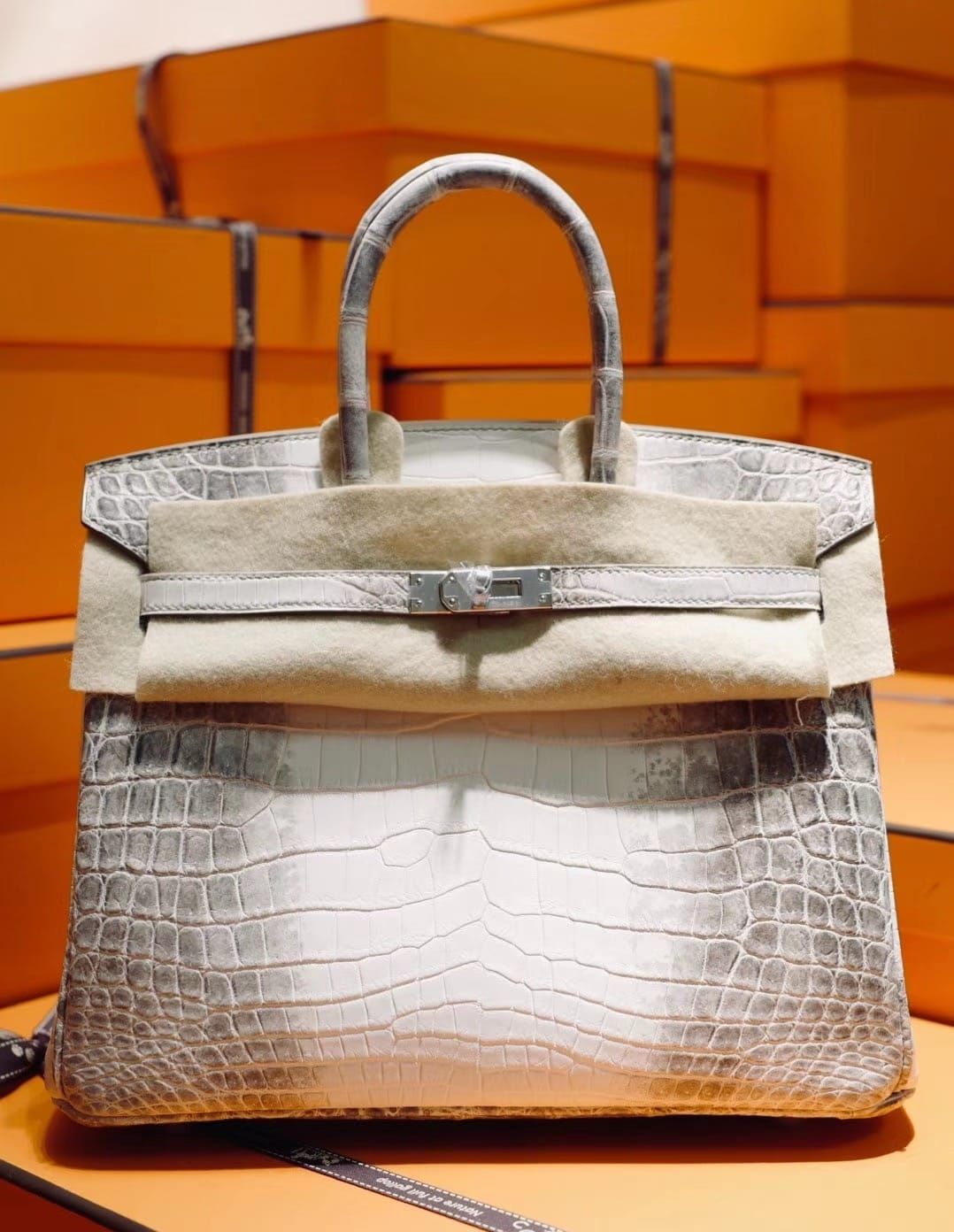 Hermes Himalaya Birkin 25 Niloticus Matte Crocodile Diamond Encrusted Palladium Hardware