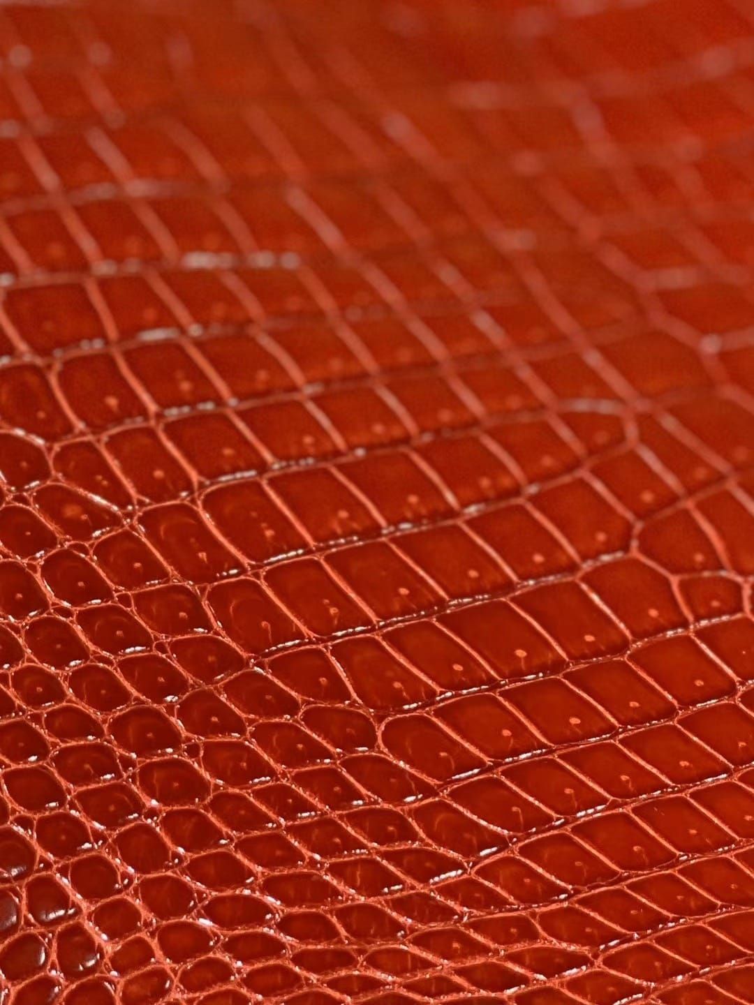 Hermès 100% Authentic French-Origin Crocodile Leather