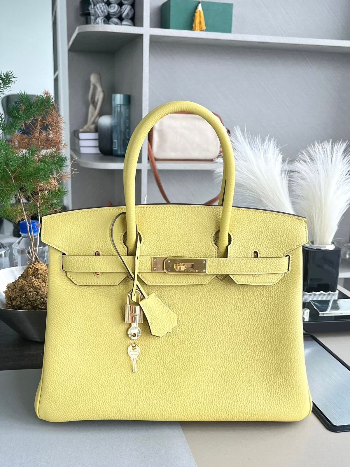 Hermès Birkin 30 Jaune Poussin Togo Leather Handbag Gold Hardware