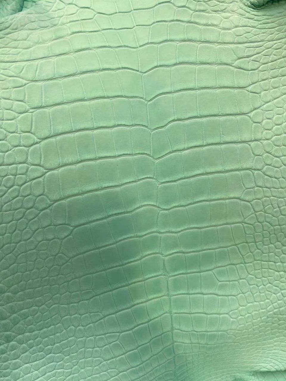 Hermès 100% Authentic  American Alligator Leather