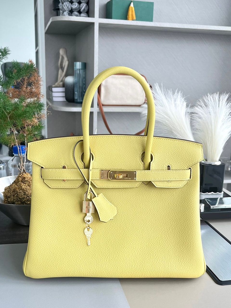 Hermès Birkin 30 Jaune Poussin Togo Leather Handbag Gold Hardware